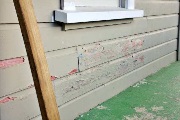 Best Custom Siding Design  in Oakton, VA